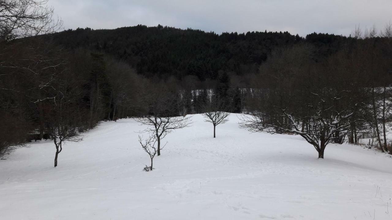Le Gite De Bri Orbey Exterior foto